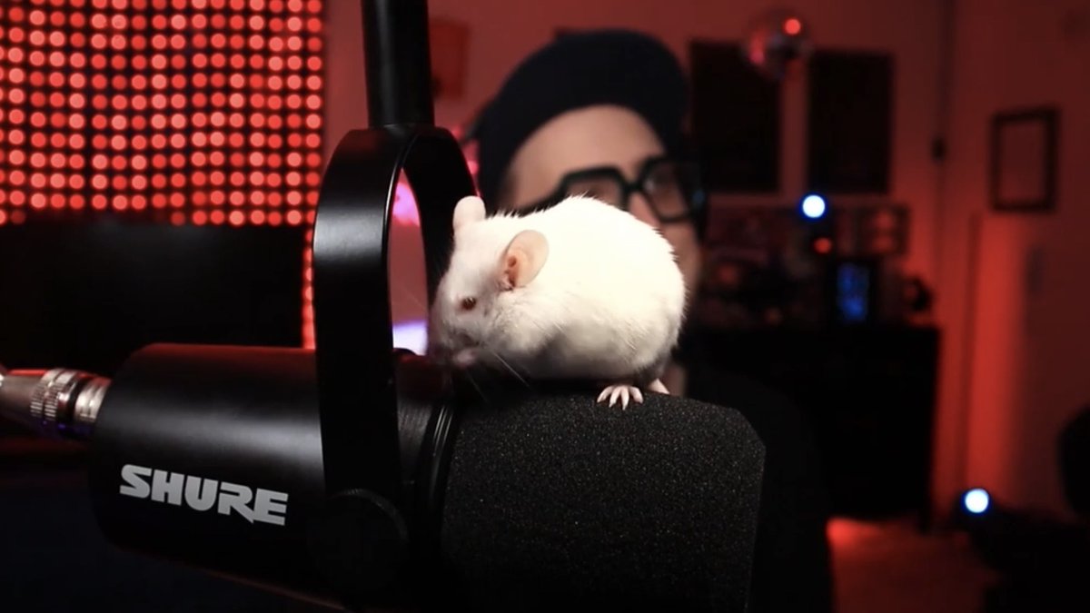 Olly Robinson ➡️ PAX East tweet media