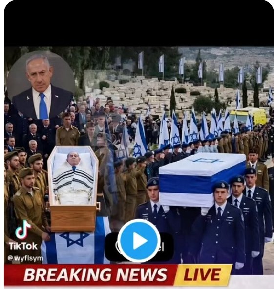 Orlando Curioso tweet media