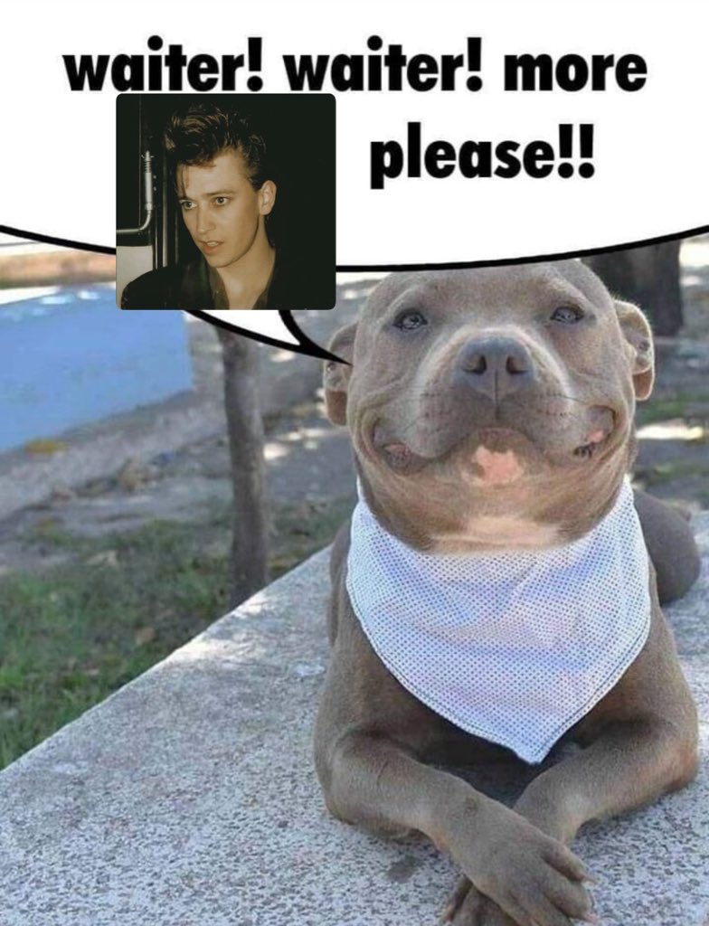 eliza 🦇 tweet media