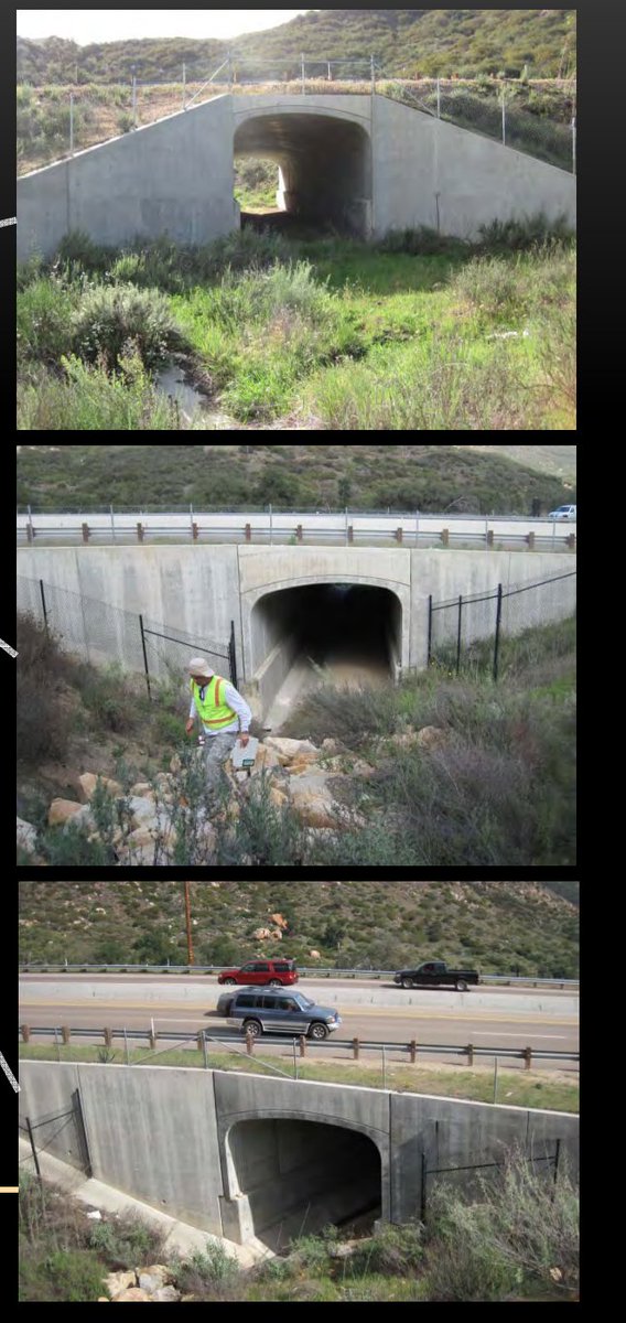 Hunter Weiss tweet media