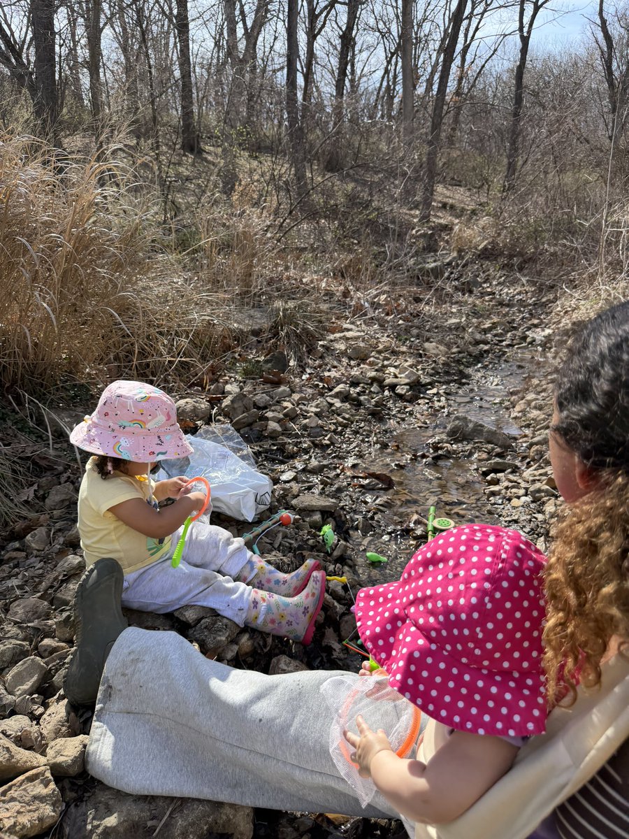 Macaiyla tweet media