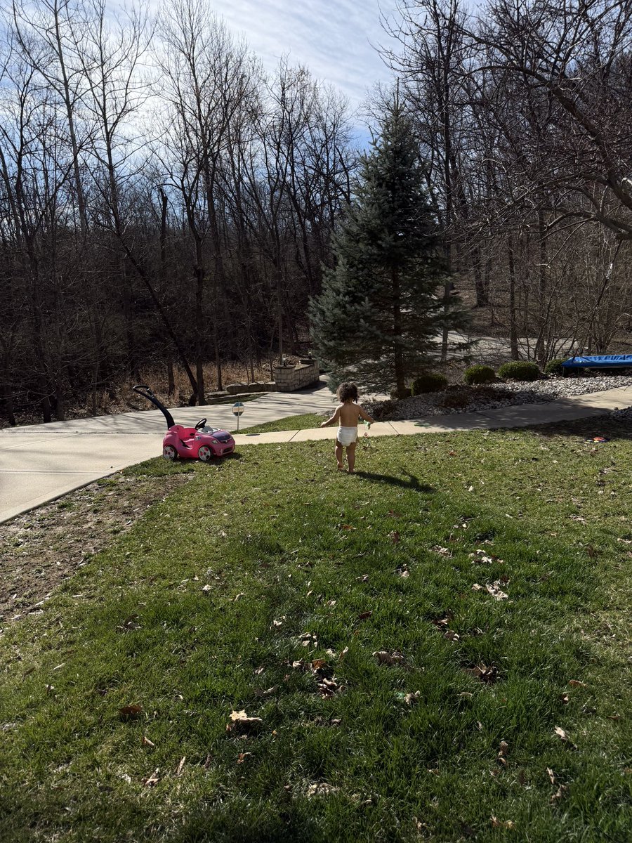 Macaiyla tweet media