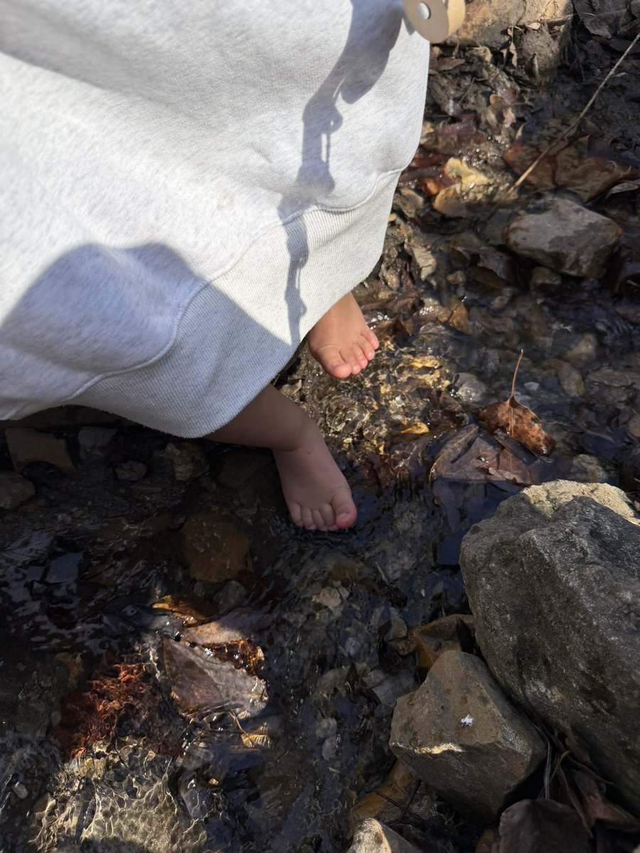 Macaiyla tweet media