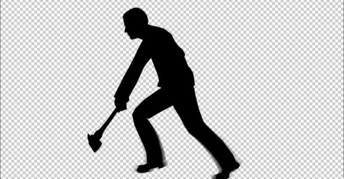 TLT archive tweet media