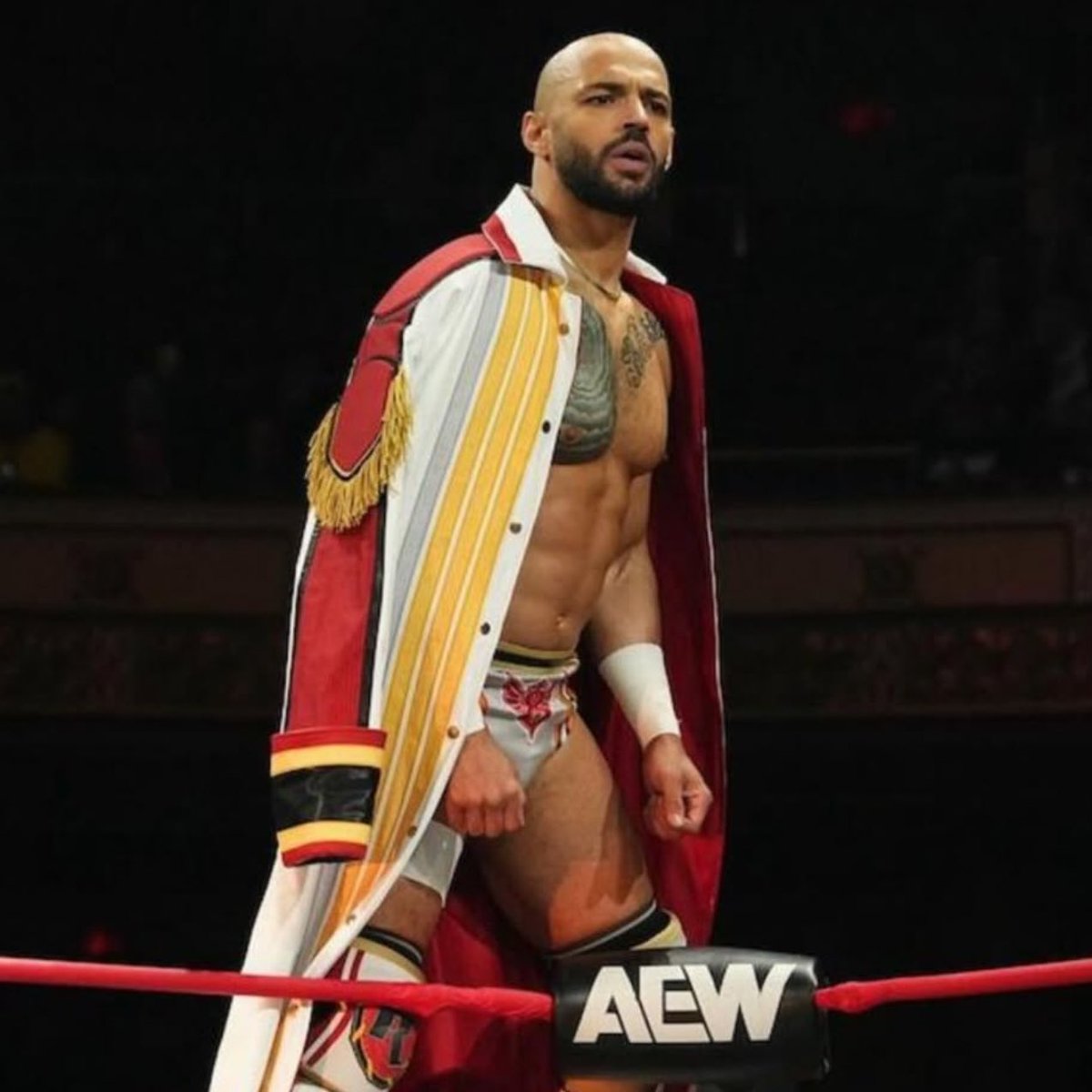 WrestlePurists tweet media