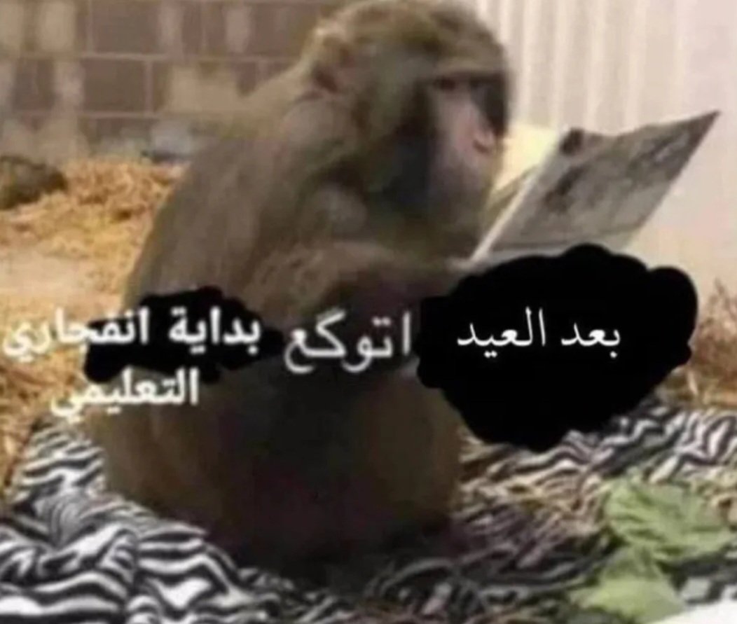 Maged 🇵🇸 tweet media