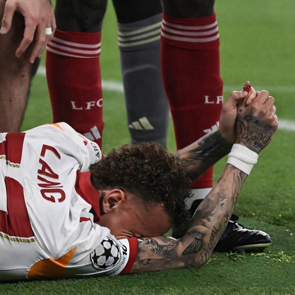 Pusholder tweet media