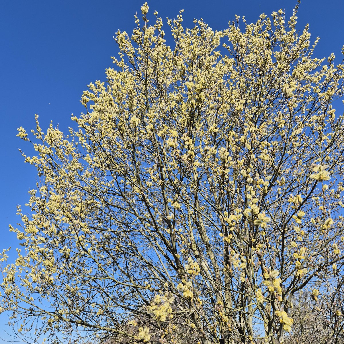 Thames Path National Trail tweet media