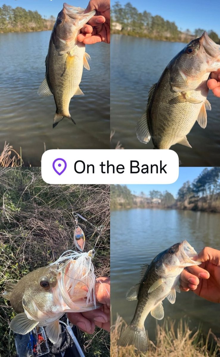 Isaiah “Zay”Deloatch tweet media