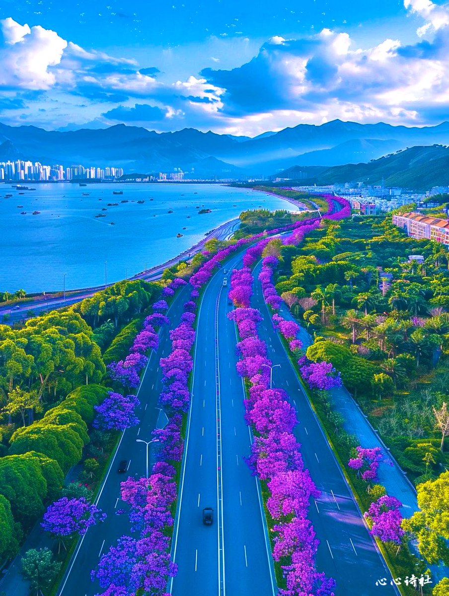 心心(Liu Yu) tweet media