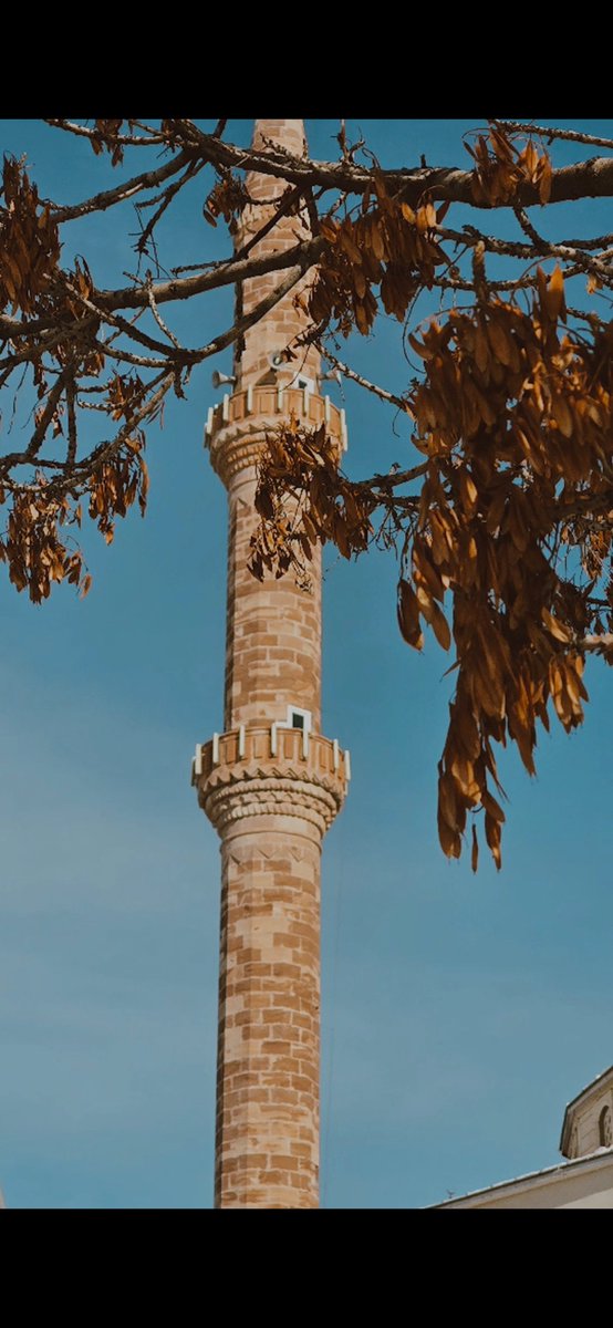 Ruby_yakut tweet media