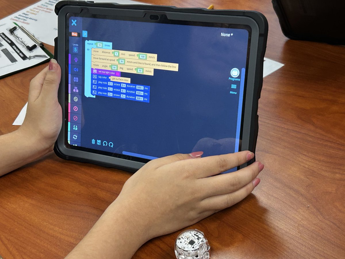 Laura Mackay tweet media