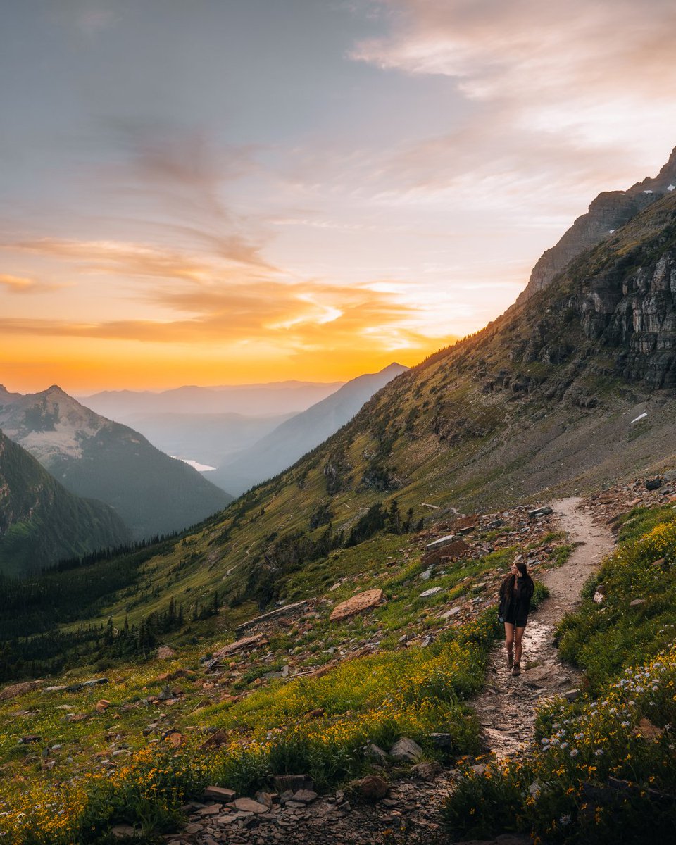 NikonUSA tweet media