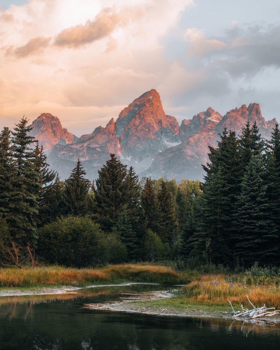 NikonUSA tweet media