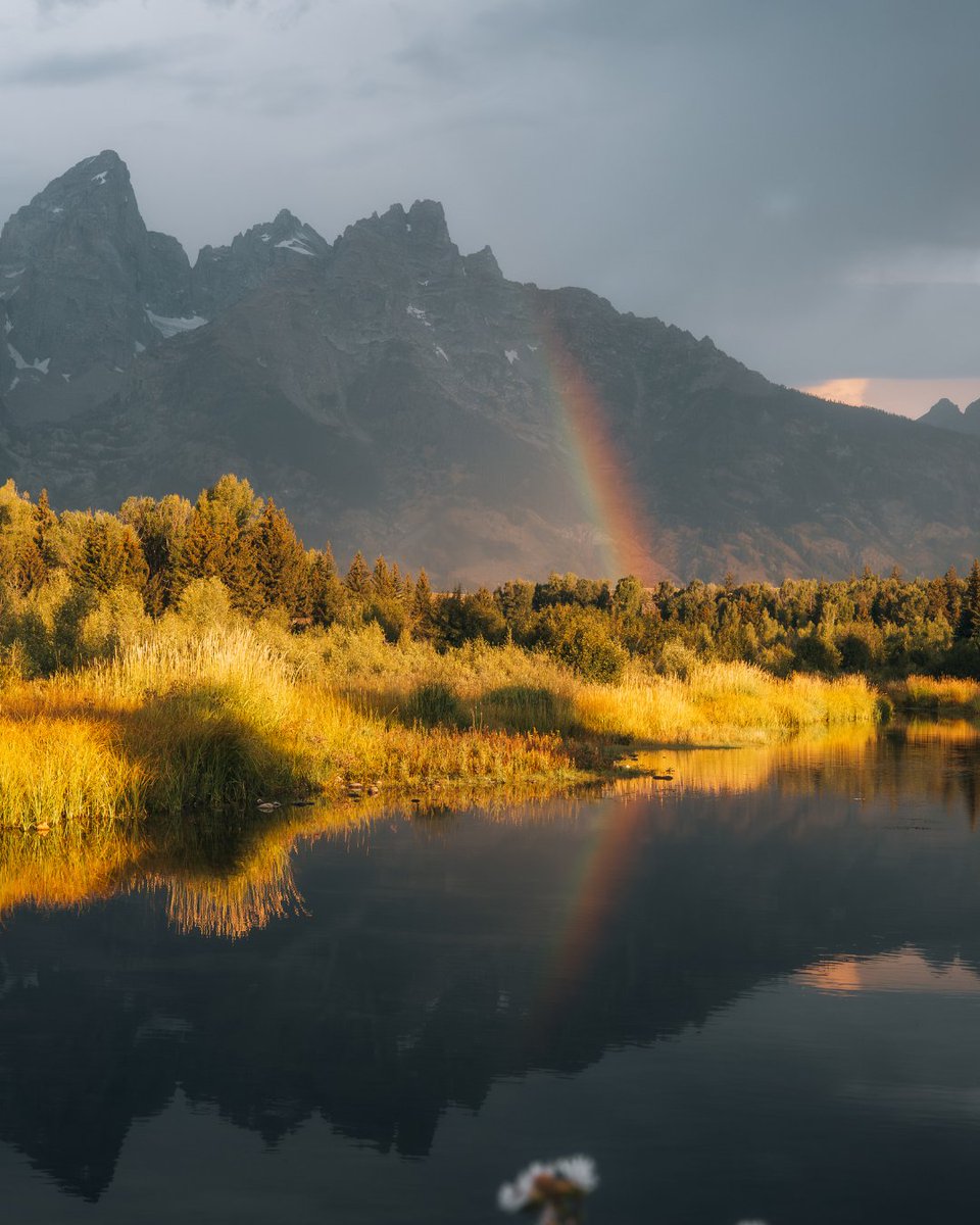 NikonUSA tweet media