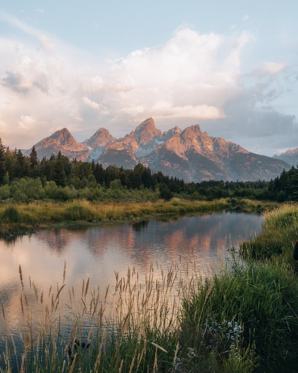 NikonUSA tweet media