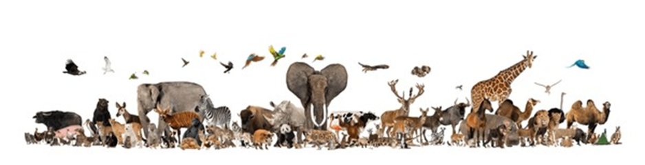 Michael ™️ tweet media