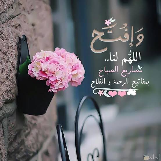 •• همســآت •• tweet media