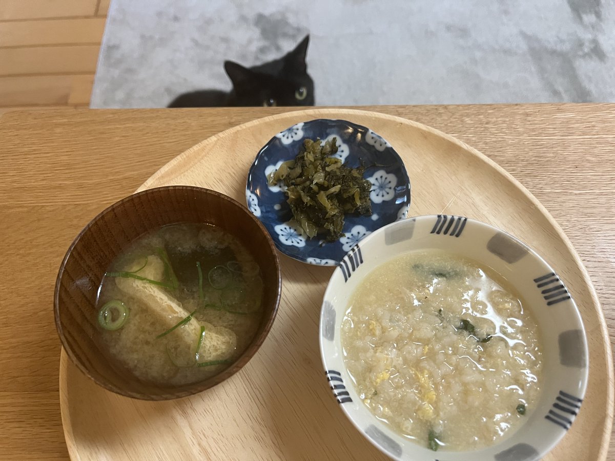 Atsuko Yamamoto🇯🇵 tweet media