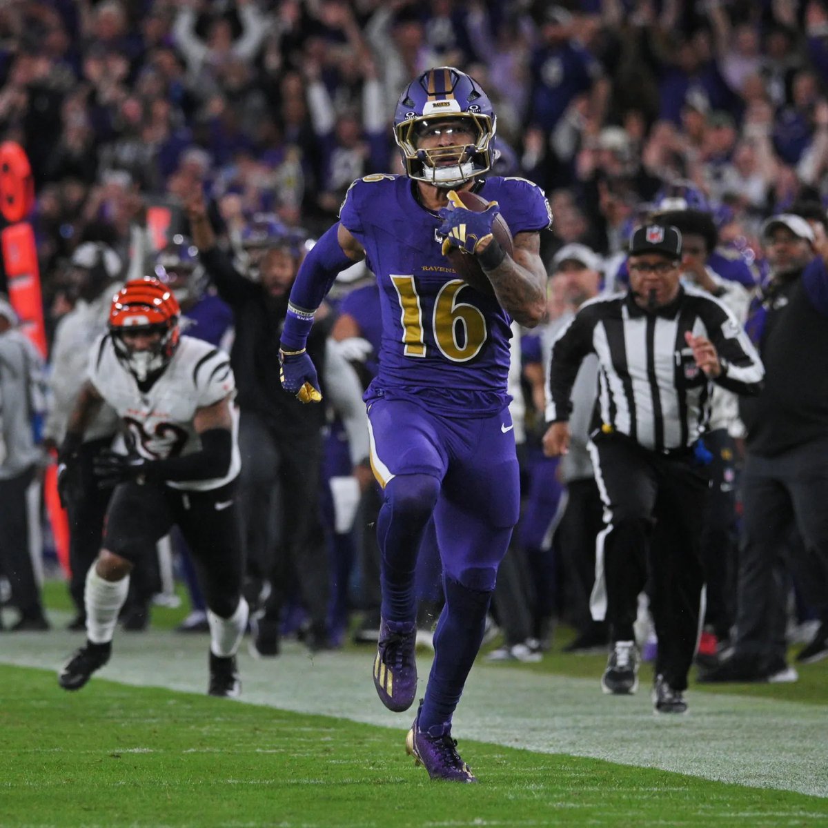 Ravens Tattoo Guy tweet media