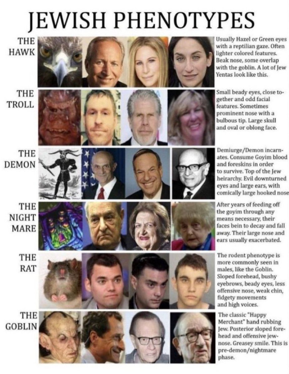 RealJustinLewis tweet media