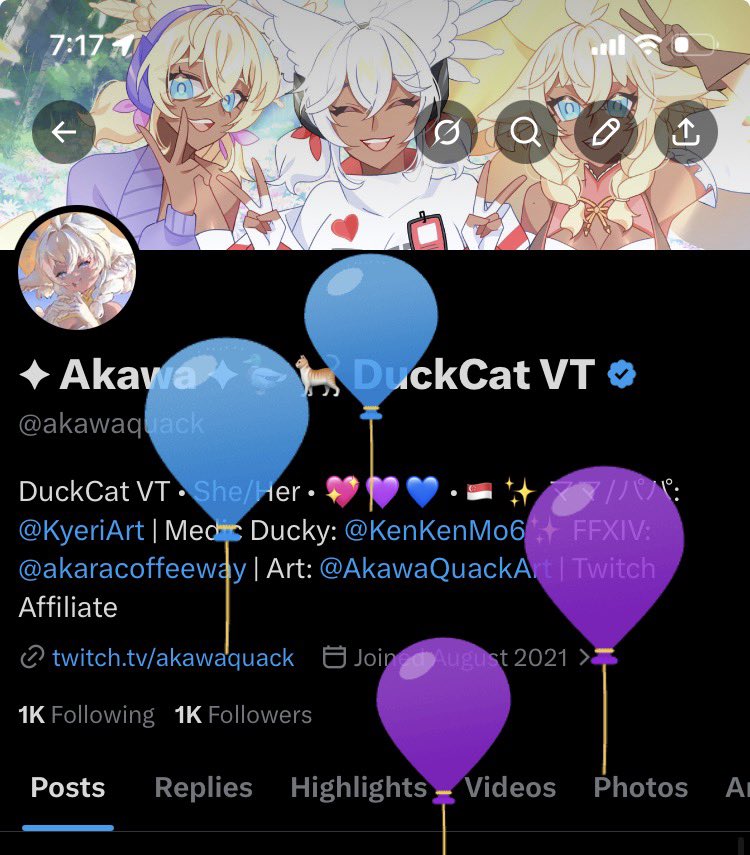 ✦ Akawa ✦🦆 Duck/Quack VT tweet media