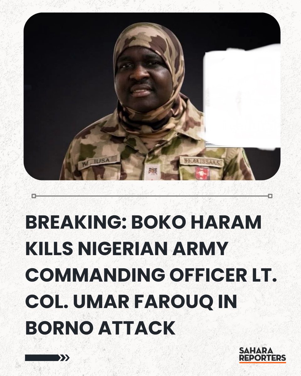 voice in the wilderness 📢 tweet media