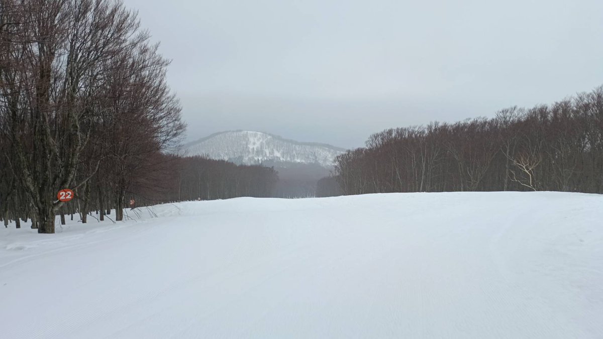 青森スプリング・スキーリゾート tweet media