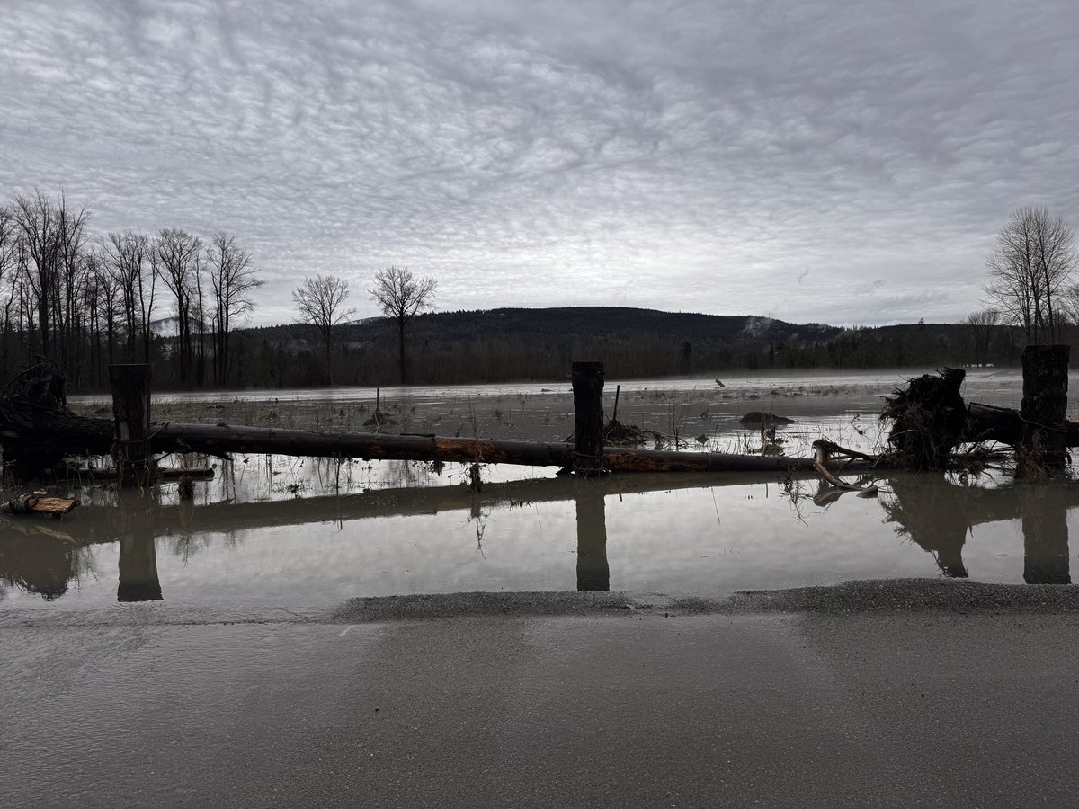 𝓒𝓱𝓻𝓲𝓼𝓽𝓲𝓮 𝓜𝓪𝓵𝓬𝓱𝓸𝔀 tweet media