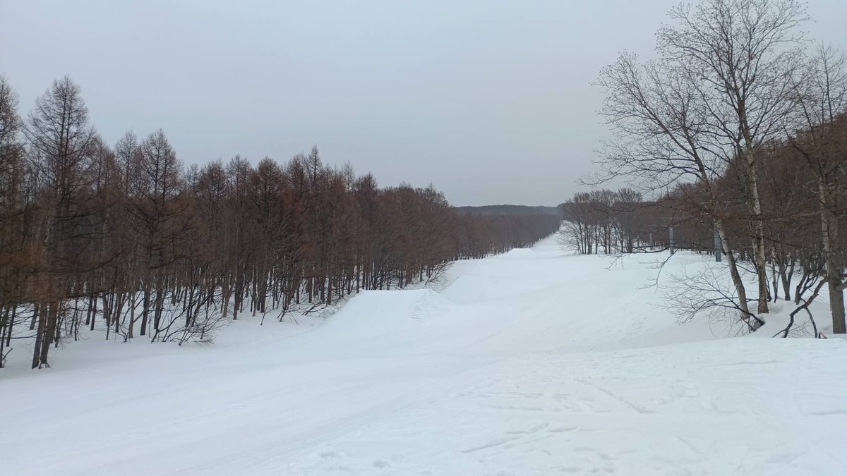 青森スプリング・スキーリゾート tweet media