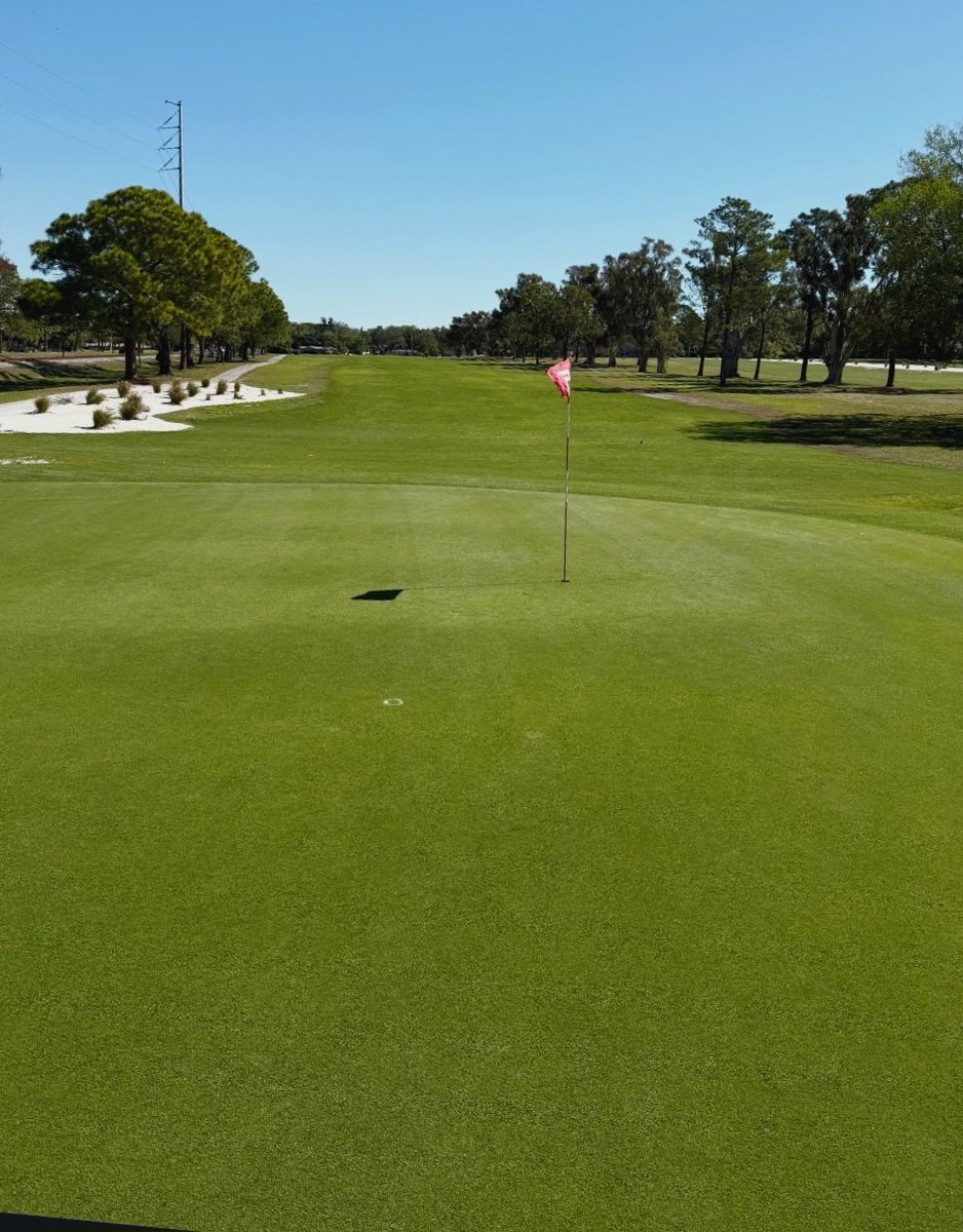 john reilly tweet media