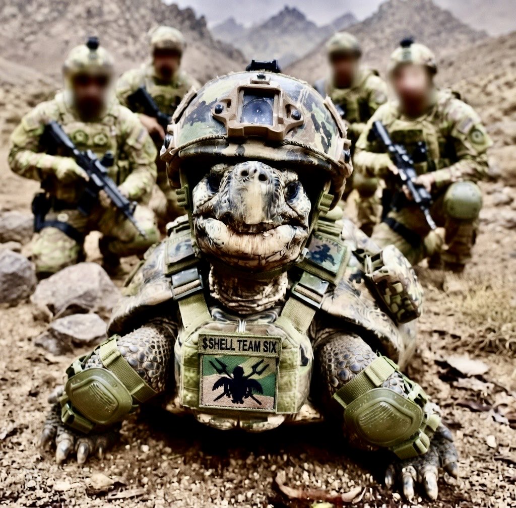 Jonathan The Tortoise (Worlds Oldest Animal) tweet media