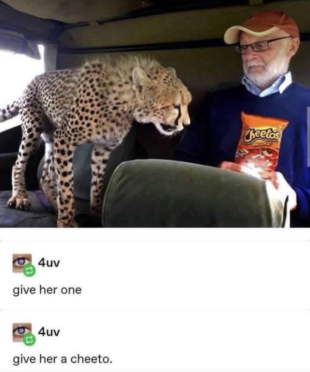 Respectful Memes tweet media