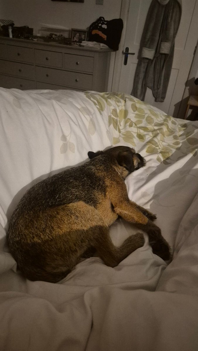 Stefan Rance tweet media