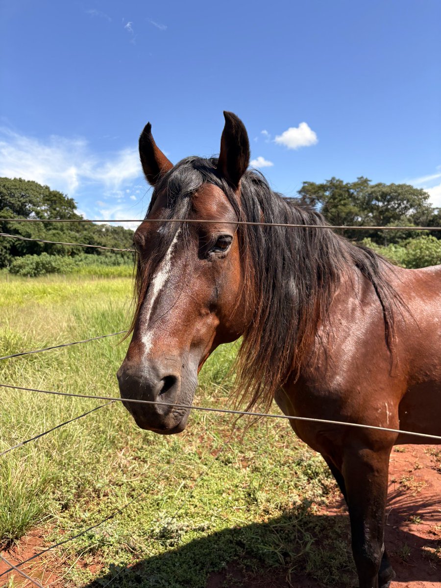 mare | cupom ferretto: MARE tweet media