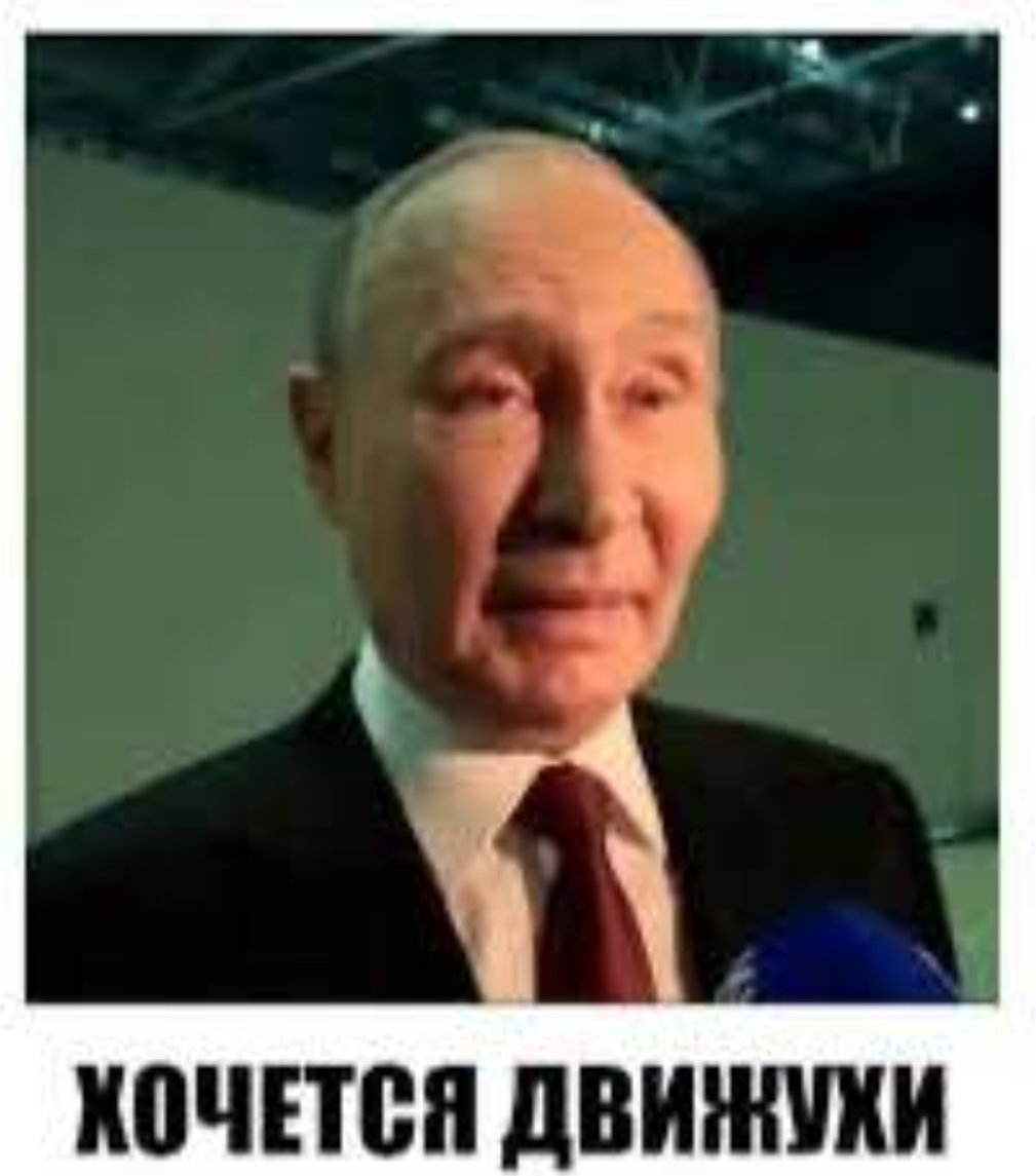 Pixel Rabbit tweet media