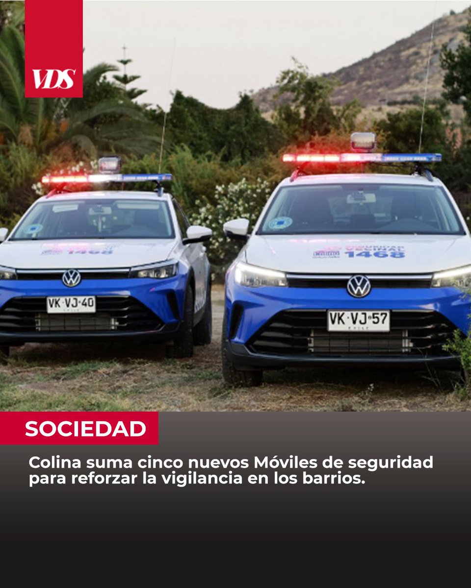 VDSChicureo tweet media