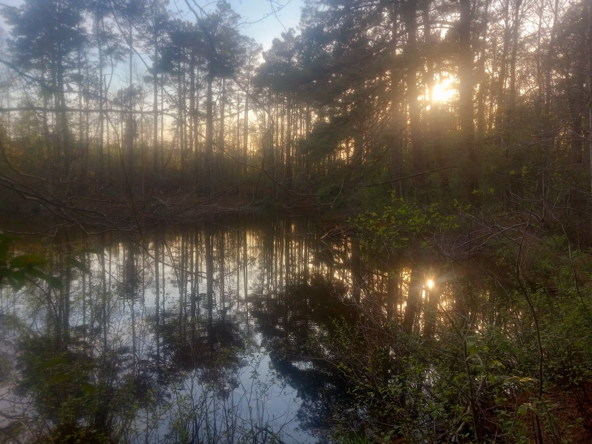 Trails I Travel⚜️ tweet media