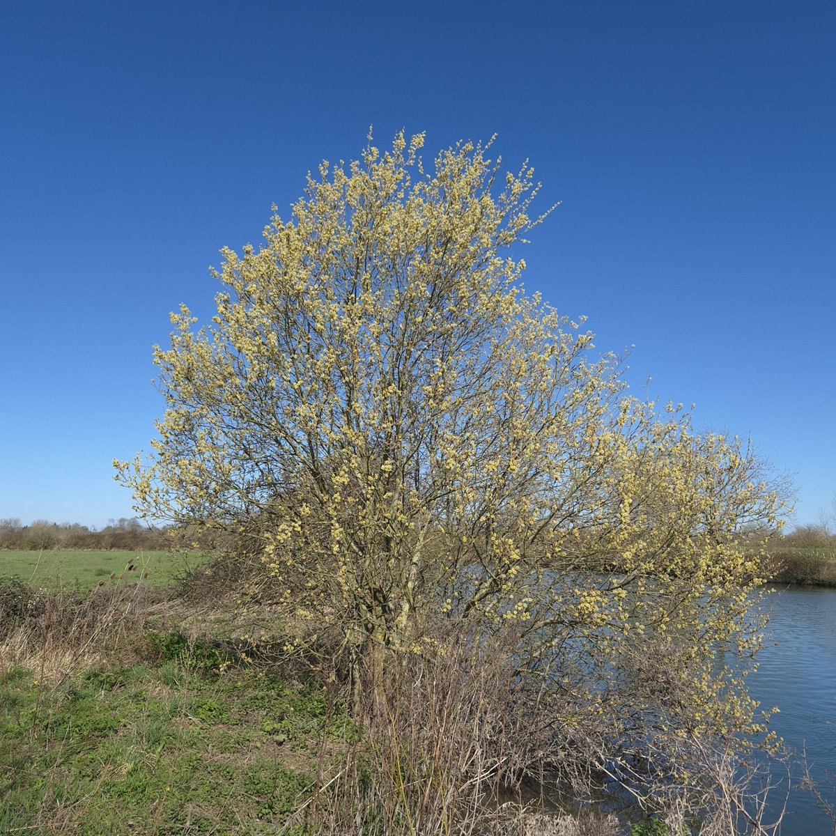 Thames Path National Trail tweet media