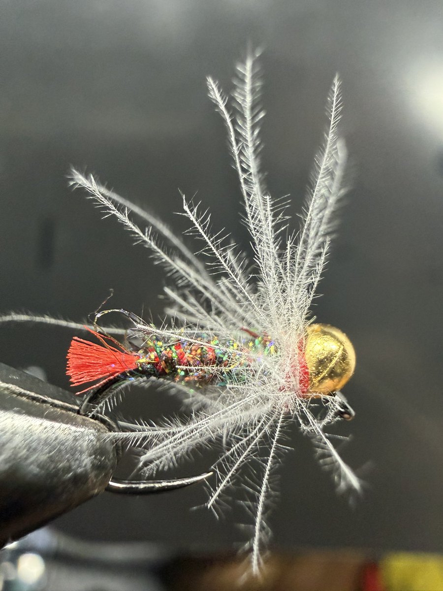 David Blackett tweet media