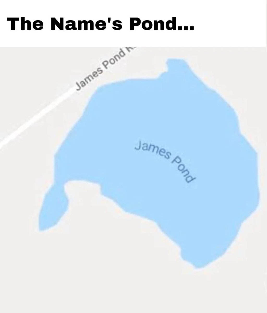 Dub Dubs 🇺🇸🇺🇸🇺🇸 tweet media