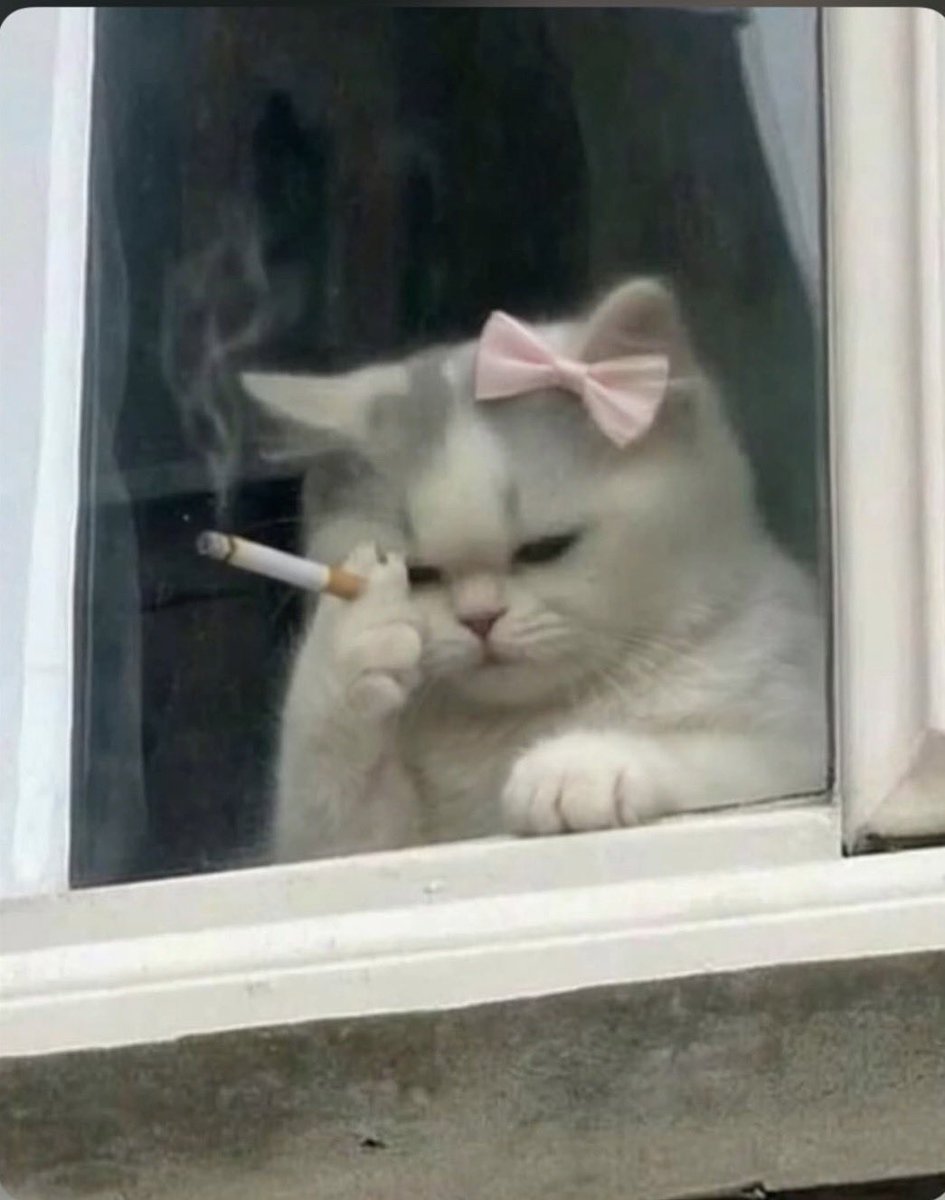 Justine ❄️ tweet media