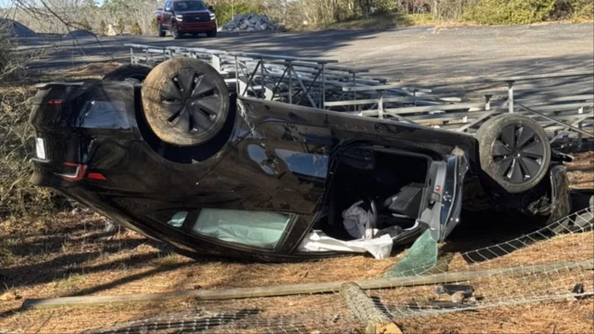 Julius Master N♱N tweet media