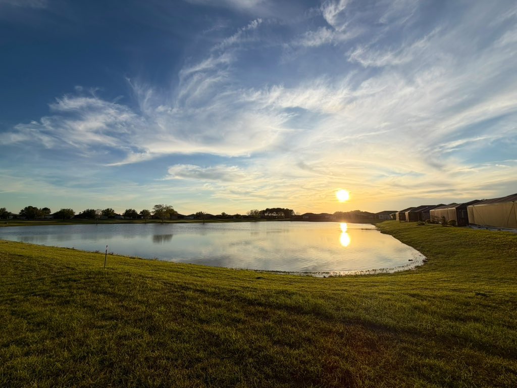 Drew_On_X tweet media