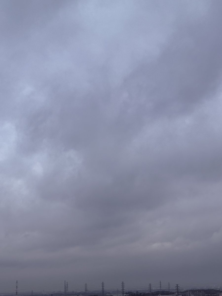 mambo_0505's tweet photo. おはようございます😃
今朝の横浜は11.7℃☁️
お日様恋しい🥹

1949年の今日、
東京都内を遊覧する定期観光バス
「はとバス」が運行開始

心ときめくモフ曜日になりますように🐱

#イマソラ 
#3月19日
#ミュージックの日
#立庁記念日
#カメラ発明記念日 https://t.co/YTrjOufTzO