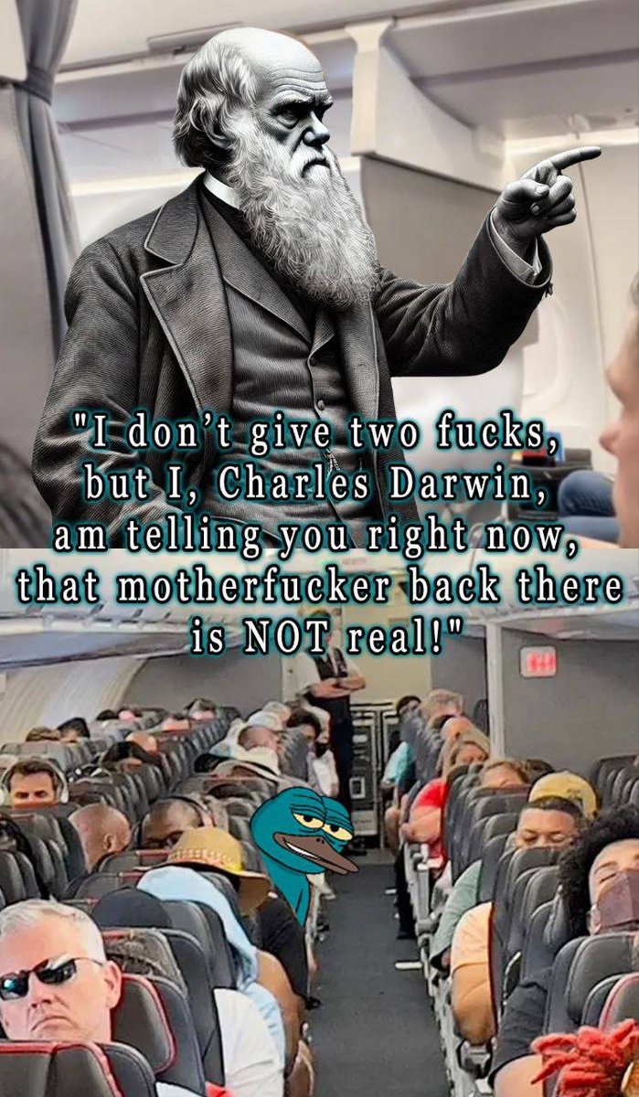 PUSSE THE PLATYPUS tweet media