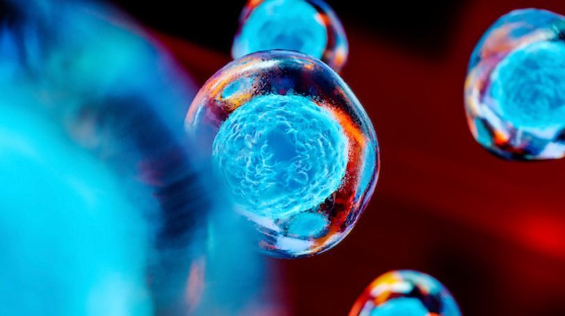 John De Vos tweet media