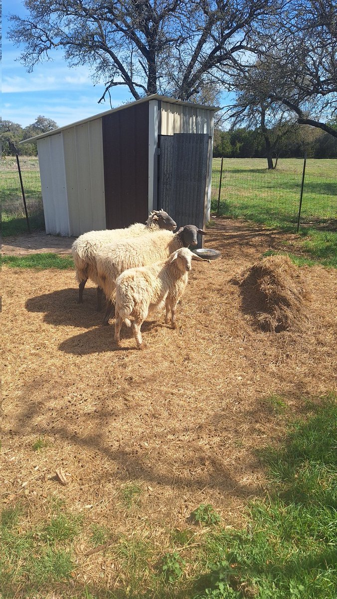 FAFO Farms tweet media