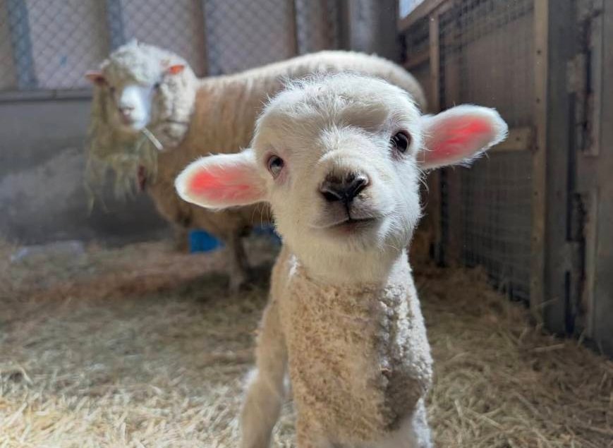 エクステリア設計施工会社チェリーガーデン🌴広報担当Saのつぶやき😋 tweet media