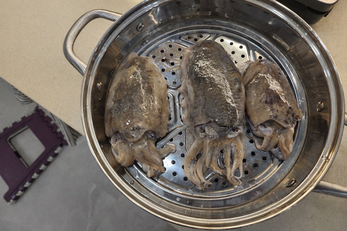 계란후라이Fried egg tweet media